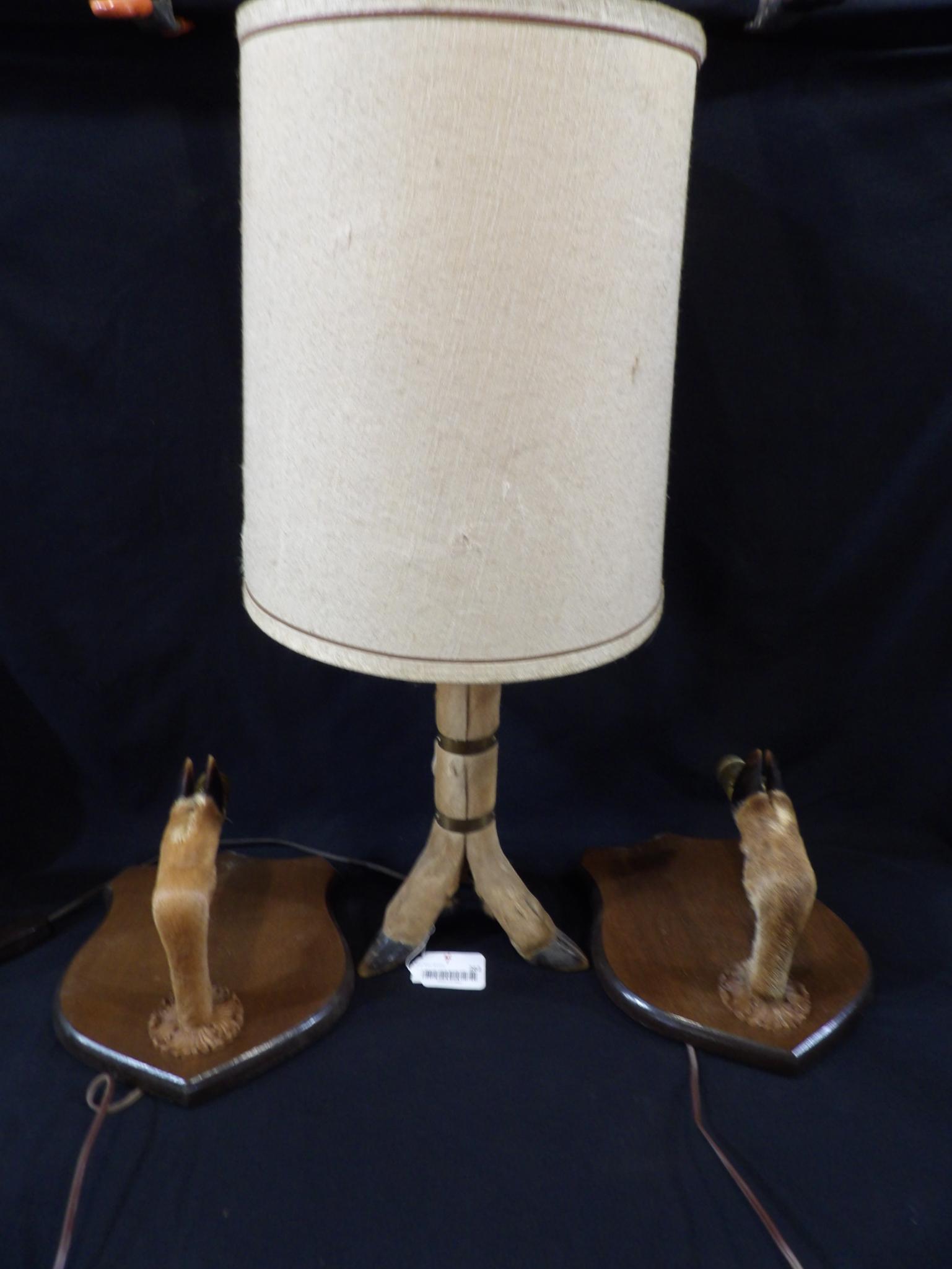 Taxidermy Oddity Deer Hoof Table Lamp w/ Lighted Hoof Wall Sconce Lights (1 of 11)