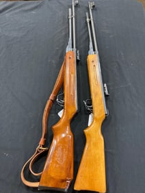 Pair of Air Rifles