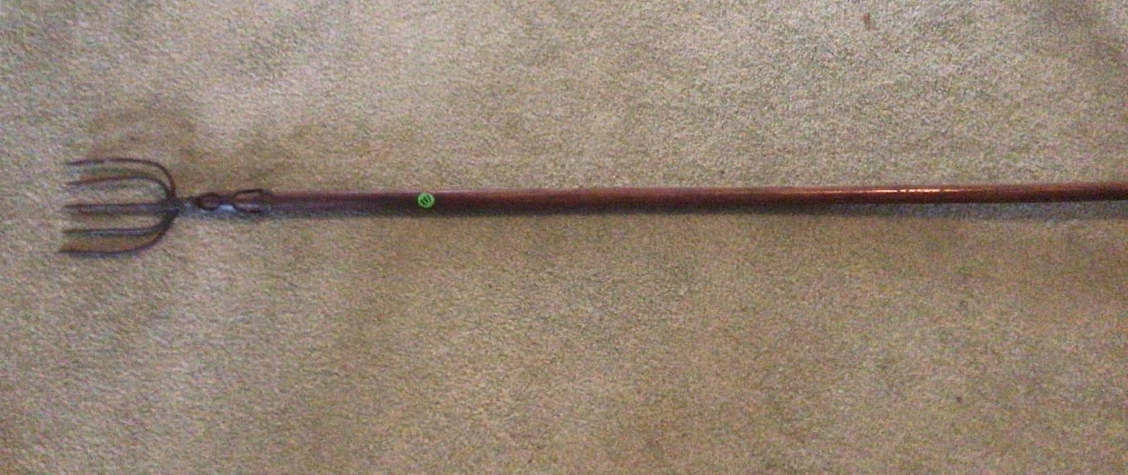 Frog Gigger: 53 inches long