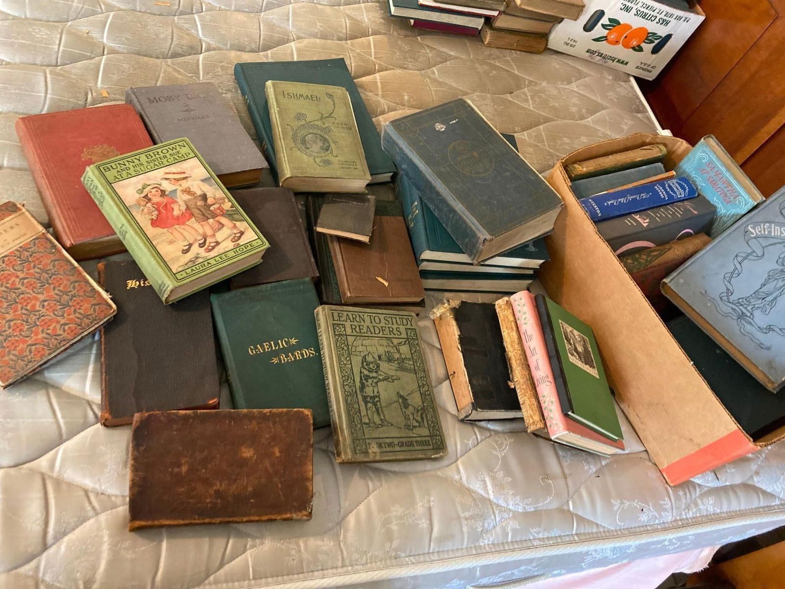 Old Books: Includes Moby Dick Ishmael, early readers, bible songs and more.