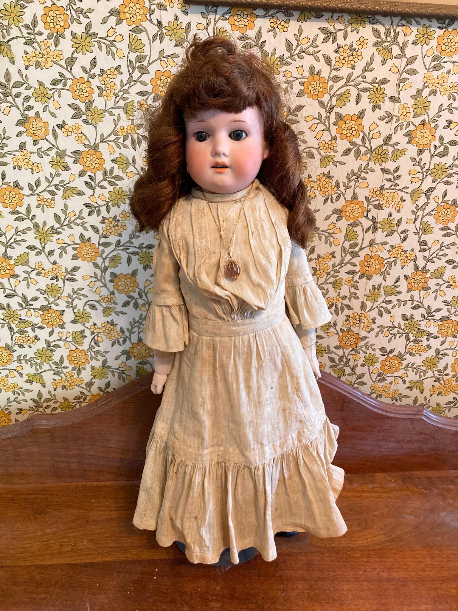 Armand Marseille Doll: 20 inches tall, head and chest intact no breaks.