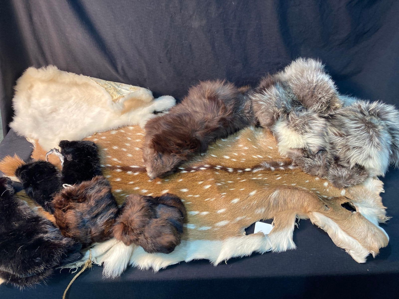 MISC TAXIDERMY FURS: INCLUDES SPOTTED DEER, RABBIT, MINK AND OTHERS