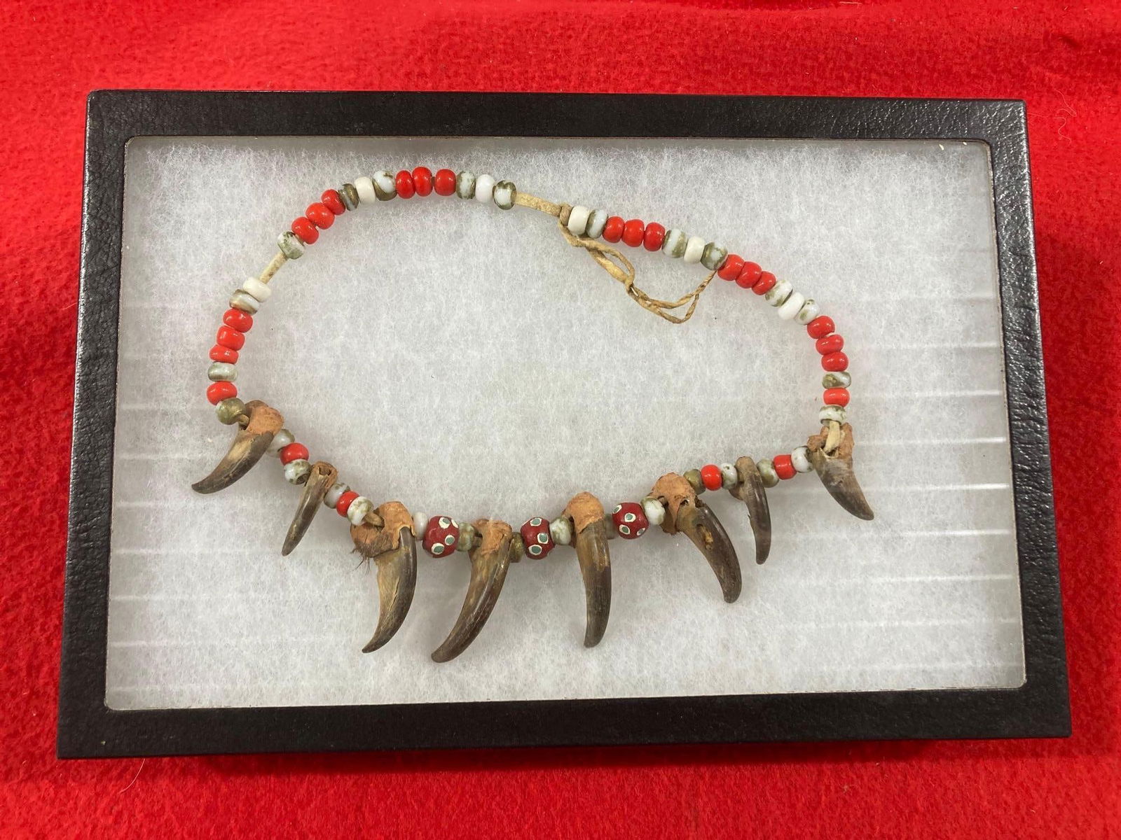 BEAR CLAW NATIVE AMERICAN NECKLACE (1 of 5)