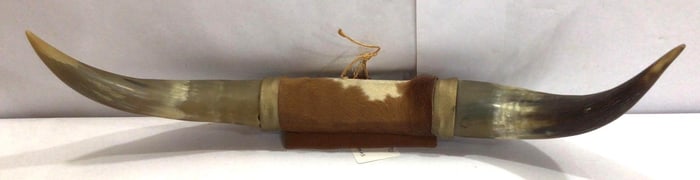 MOUNTED 24" MEXICAN STEER HORNS