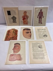9 ANTIQUE MEDICAL LITHOGRAPHS