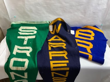 3 LARGE WOOL VINTAGE OHIO SCHOOL PENNANTS
