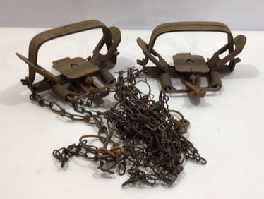 PAIR OF VICTOR TRAPS