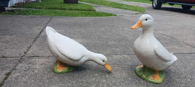 CERAMIC DUCKS