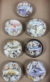 Antique Shell travel Souvenirs