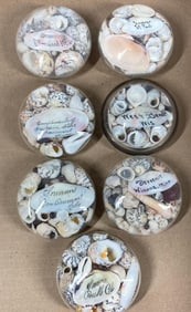 Antique Shell travel Souvenirs