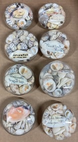 Antique Shell travel Souvenirs