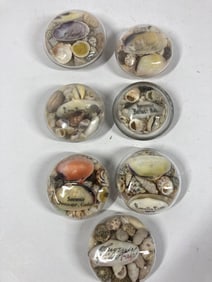 Antique Shell travel souvenirs