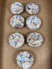 Antique Shell travel souvenirs