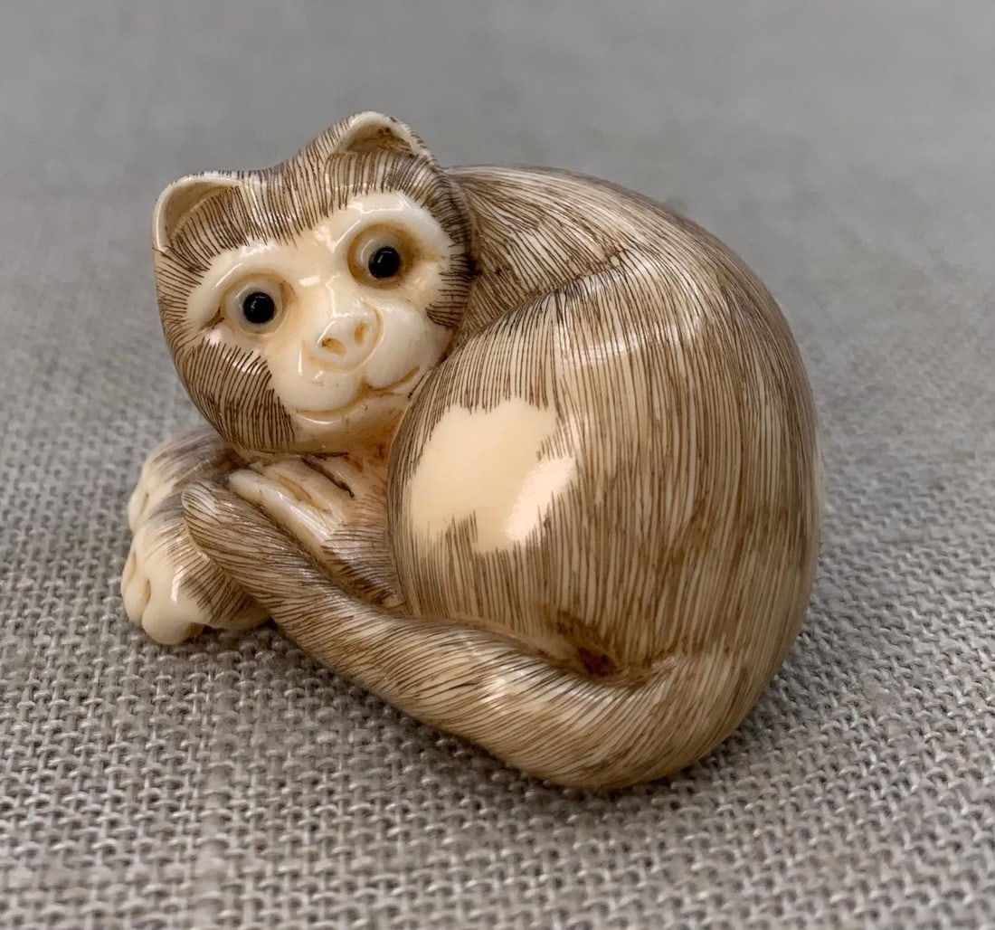 Hand Carved Japanese Kitty Cat Netsuke: Hand carved natural material kitty netsuke, 1 1/2" x 1 1/2", signed.