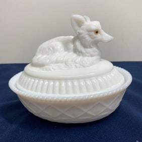 WESTMORLAND FOX ON NEST