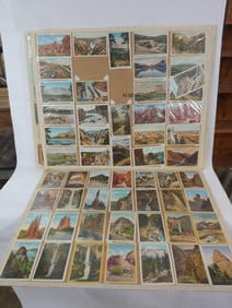 ANIMALS, POEMS, AND NATURE POSTCARDS