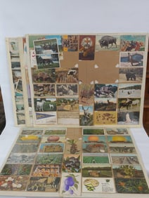 FRUIT, ANIMALS, RELIGIOUS AND OTHER POST CARDS