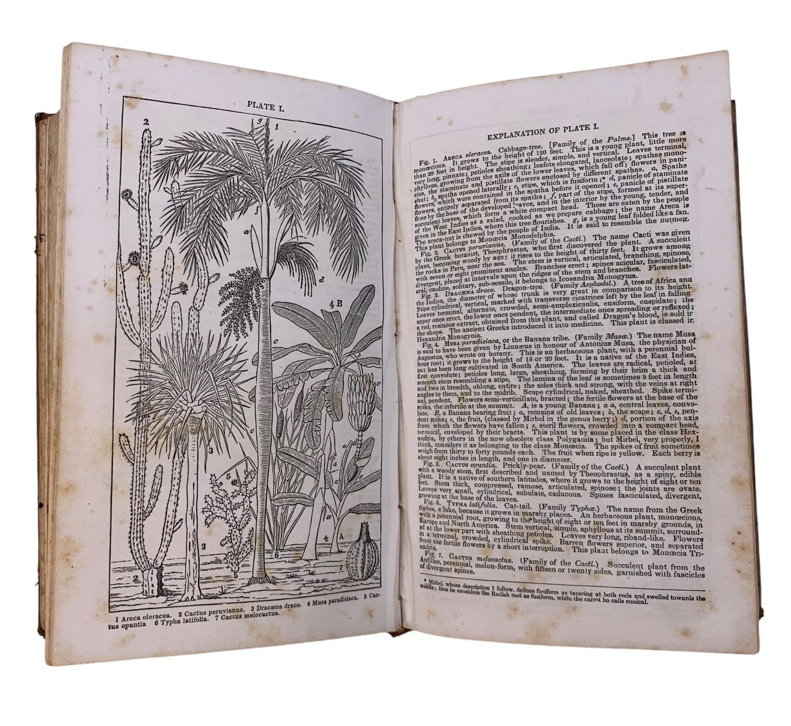 1848 Mrs. Lincoln's Botany Leather Bound Plants of the United States & Exotics Book (1 of 11)