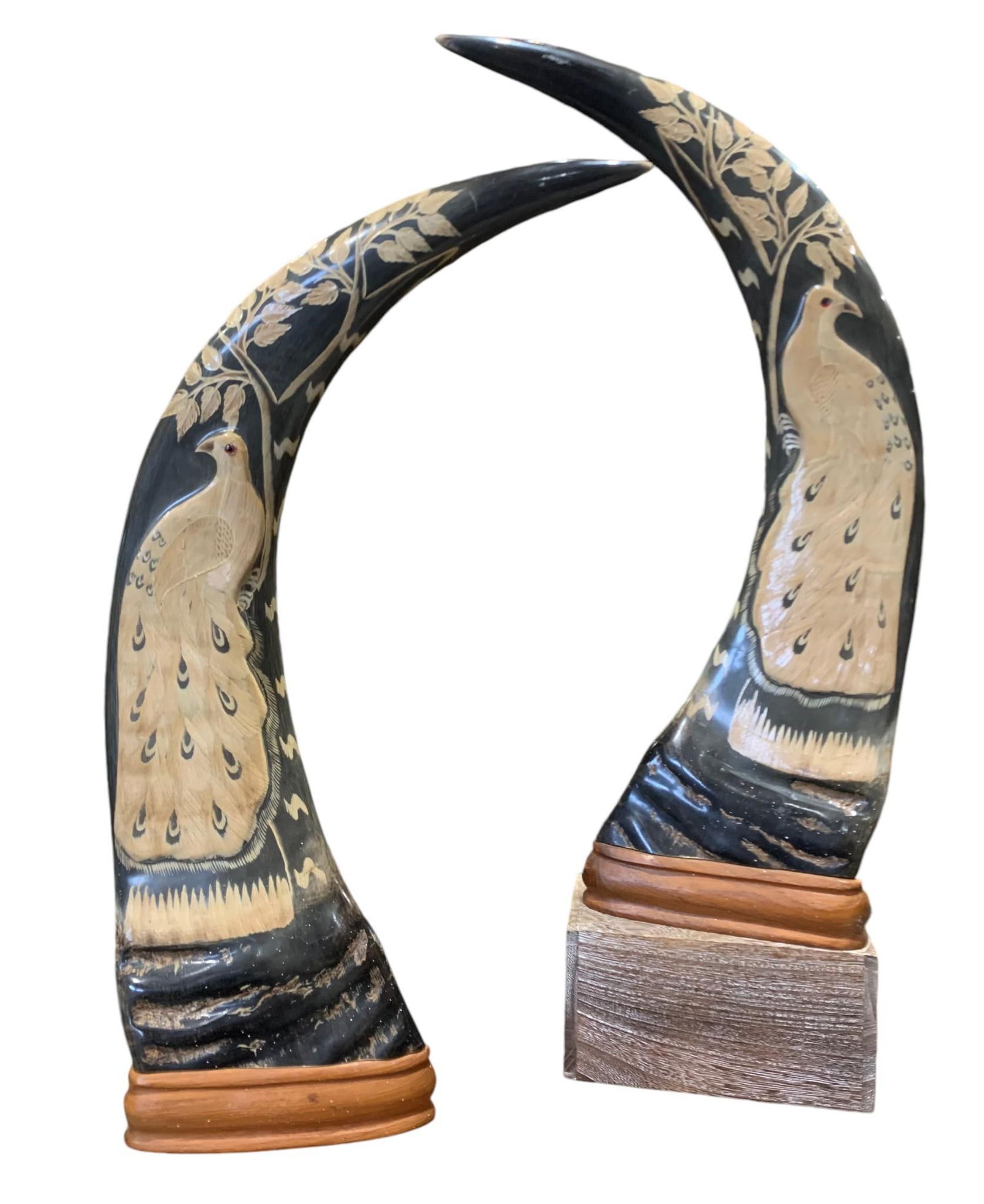 Exquisite Pair of Carved Water Buffalo Horns, White Peacock Design (1 of 7)
