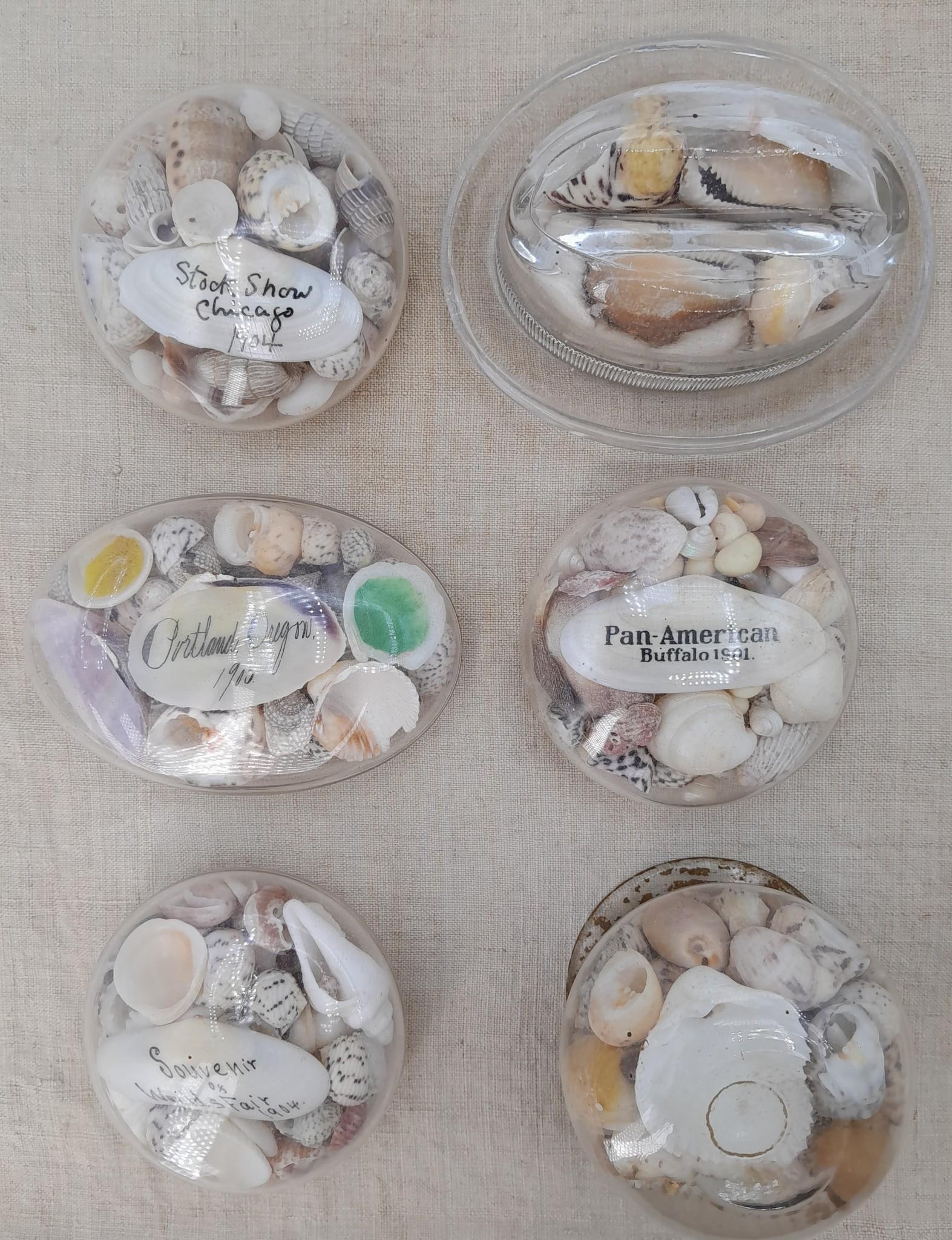 Six Antique Seashell Travel Souvenirs, 1901 to 1910 (1 of 8)