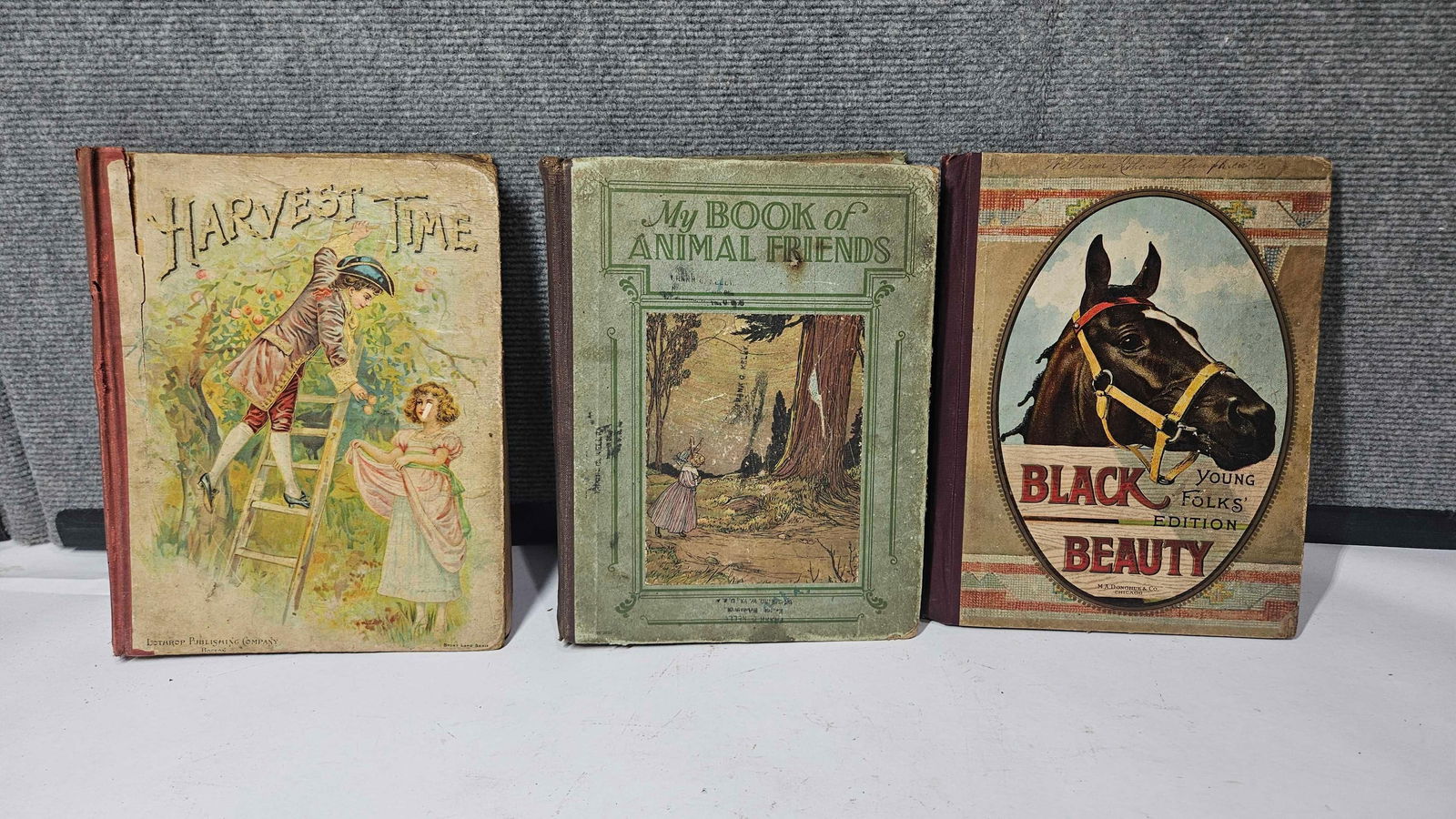 black beauty, harvest time, and my book of animal Friends (1 of 4)