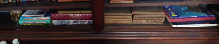 Shelf contents of books