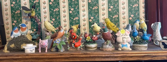 Cardinals, pheasant, ducks and birds