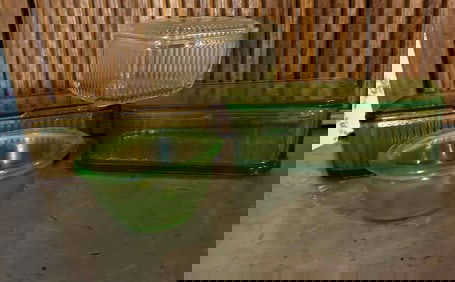 Uranium Glass and lidded Refrigerator Dishes