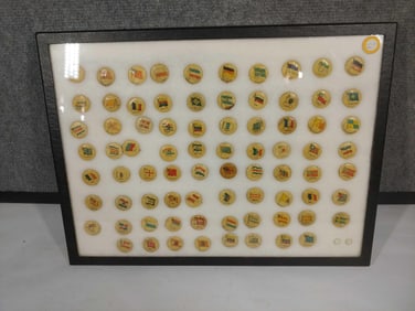 78 Pc National Flag and Major Cities Pins