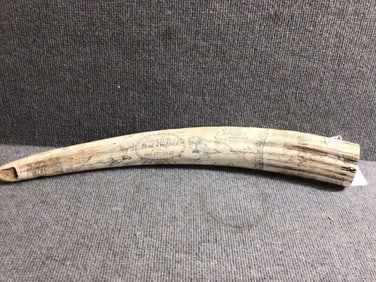 The Whaler Prince Scrimshaw