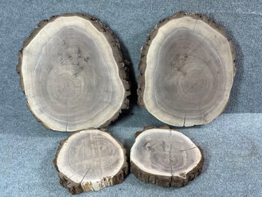 Walnut Rough Cut Round Slabs