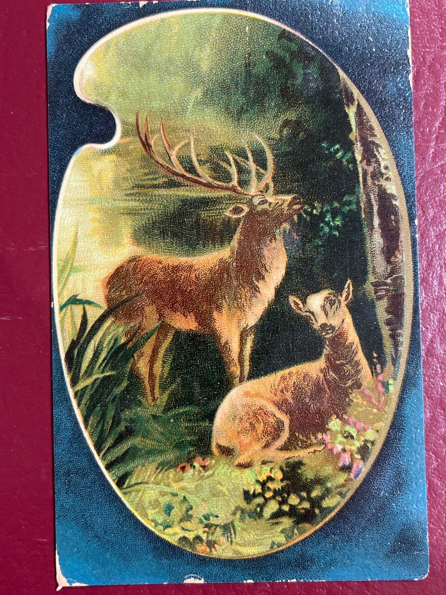 Early 1900s Postcards (1 of 8)