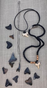 21 pc Genuine Shark Tooth Necklaces and Tooth Specimen Collection