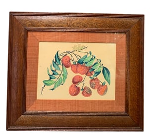 Timeless 19th Century Hand Painted Lychee Berry Fruit Branch Painting, Professionally Re-Framed