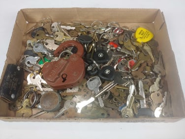 Large Lot of Various keys