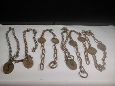 Brass and Steel Bull Tags