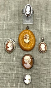 6 pc Antique-Vintage 800 Silver Carved Shell, Celluloid & Mother of Pearl Cameo Jewelry Collection
