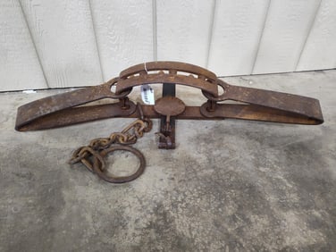 Iron bear trap