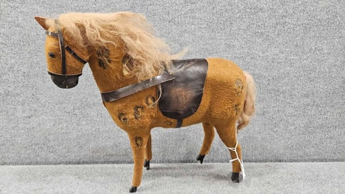 Primitive horse