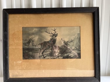 1868 Elk Framed Print