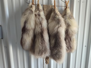 Trappers White Fox Pelts