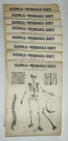 Antique Anatomical & Physiological Charts