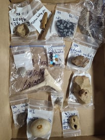 Game Stones, Beads, Artifacts, and Fossils