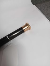 Dark Hardwood 1900s Cane