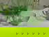 item-208338316=5