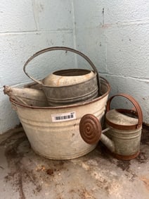 Galvanized Bucket & Watering Cans