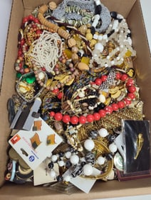Lot of costume jewelry including pins, earrings, necklaces, bracelets and more