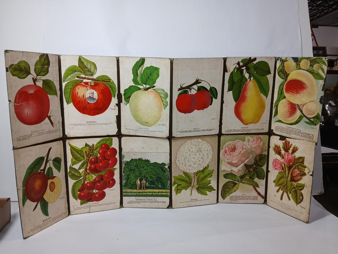 1900s Folding Seed Company Brochure: Vibrant sample litho plants and fruit images.