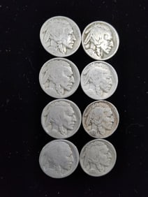 8 Buffalo Head Nickels