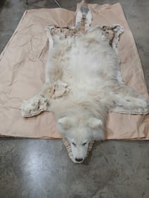 Samoyed/Great Pyrenees quilted bottom rug